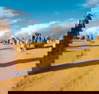 Pinnacles Desert Koalas and Sandboarding 4WD Day Tour from Perth - Hobart Tourism