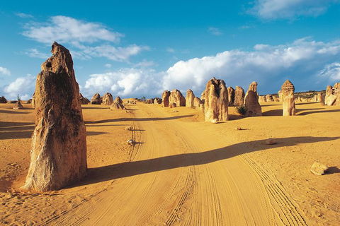 Pinnacles Desert, Koalas And Sandboarding 4WD Day Tour From Perth - Hobart Tourism 0