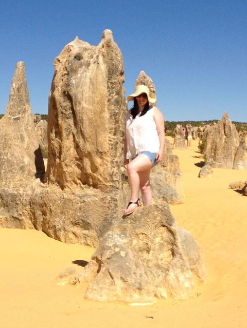 Pinnacles Desert, Koalas And Sandboarding 4WD Day Tour From Perth - Hobart Tourism 16