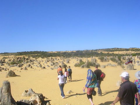 Pinnacles Desert, Koalas And Sandboarding 4WD Day Tour From Perth - Hobart Tourism 25