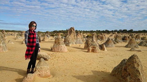 Pinnacles Desert, Koalas And Sandboarding 4WD Day Tour From Perth - Hobart Tourism 13
