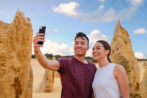 Pinnacles Desert, Koalas And Sandboarding 4WD Day Tour From Perth - Hobart Tourism 1