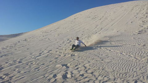 Pinnacles Desert, Koalas And Sandboarding 4WD Day Tour From Perth - Hobart Tourism 14