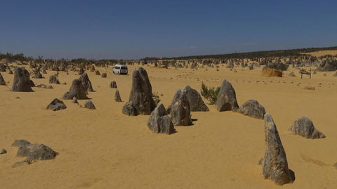 Pinnacles Desert, Koalas And Sandboarding 4WD Day Tour From Perth - Hobart Tourism 4