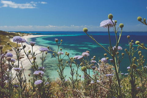 Rottnest Island Full-Day Trip With Guided Island Tour From Perth - Hobart Tourism 6