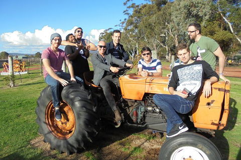 1/2 Day Swan Valley Wine Cheese & Chocolate Tour Inc Afternoon Cruise To Perth - Hobart Tourism 8