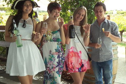 1/2 Day Swan Valley Wine Cheese & Chocolate Tour Inc Afternoon Cruise To Perth - Hobart Tourism 2