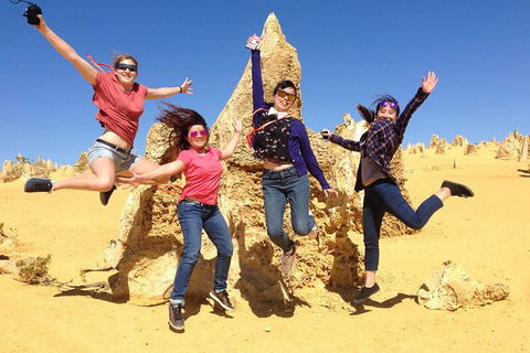 Pinnacles And Swan Valley Day Trip From Perth Including Caversham Wildlife Park, Vineyard Lunch, Pinnacles And Sandboarding - Hobart Tourism 0