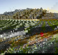 Margaret River Caves Wine and Cape Leeuwin Lighthouse Tour from Perth - Hobart Tourism