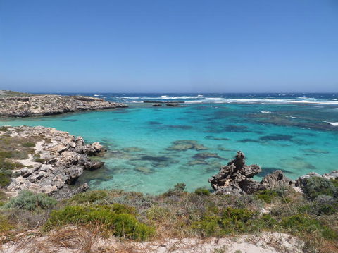 Rottnest Island Tour From Perth Or Fremantle Including Adventure Speed Boat Ride - Hobart Tourism 3