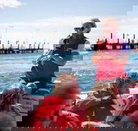 Rottnest Island Tour from Perth or Fremantle including Adventure Speed Boat Ride - Hobart Tourism
