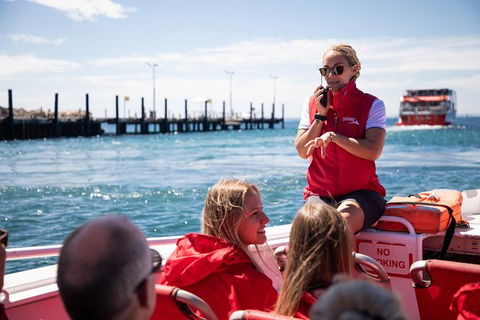 Rottnest Island Tour From Perth Or Fremantle Including Adventure Speed Boat Ride - Hobart Tourism 0