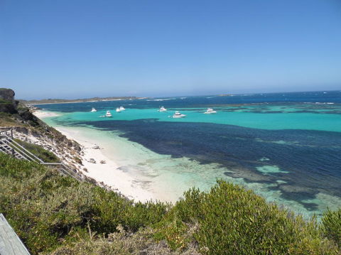 Rottnest Island Tour From Perth Or Fremantle Including Adventure Speed Boat Ride - Hobart Tourism 2