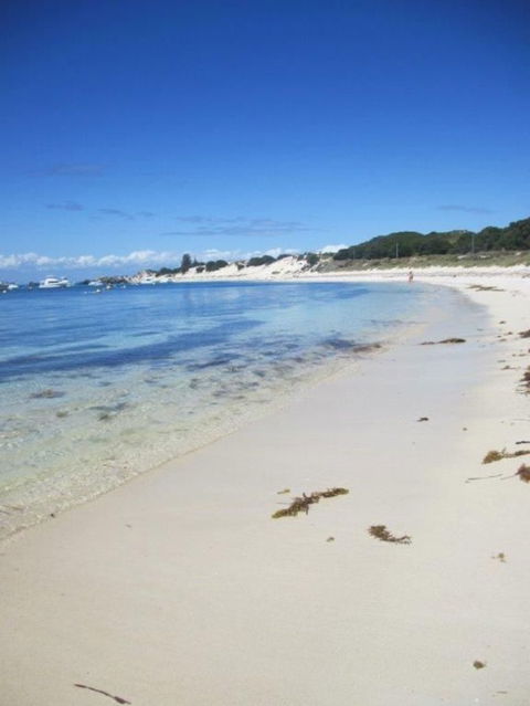 Rottnest Island Tour From Perth Or Fremantle Including Adventure Speed Boat Ride - Hobart Tourism 4