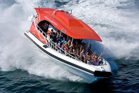 Rottnest Island Tour From Perth Or Fremantle Including Adventure Speed Boat Ride - Hobart Tourism 11