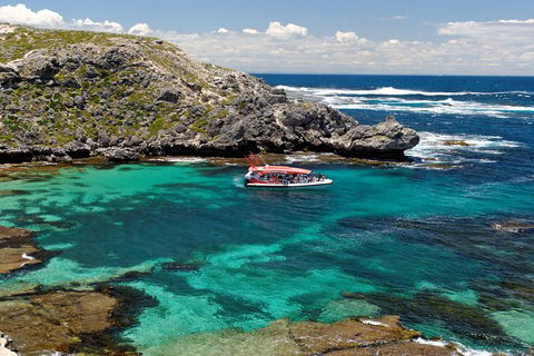 Rottnest Island Tour From Perth Or Fremantle Including Adventure Speed Boat Ride - Hobart Tourism 10