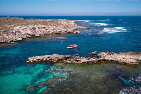 Rottnest Island Tour From Perth Or Fremantle Including Adventure Speed Boat Ride - Hobart Tourism 13