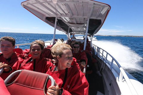 Rottnest Island Tour From Perth Or Fremantle Including Adventure Speed Boat Ride - Hobart Tourism 8