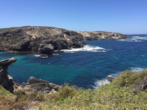 Rottnest Island Tour From Perth Or Fremantle Including Bus Tour - Hobart Tourism 3