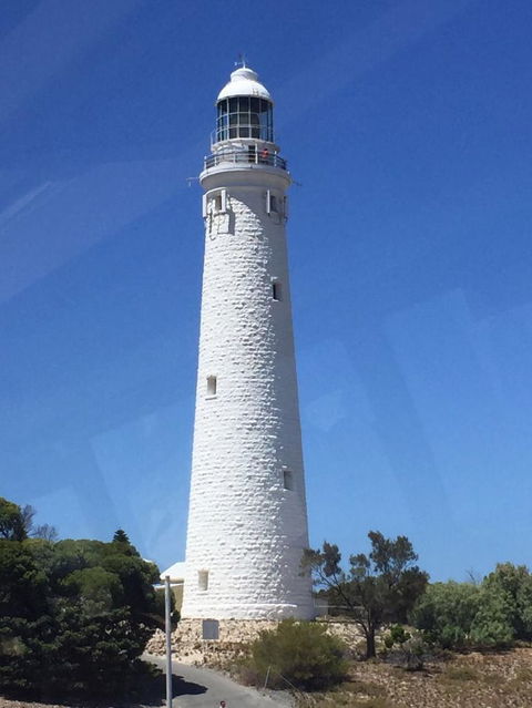 Rottnest Island Tour From Perth Or Fremantle Including Bus Tour - Hobart Tourism 2