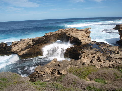 Rottnest Island Tour From Perth Or Fremantle Including Bus Tour - Hobart Tourism 5