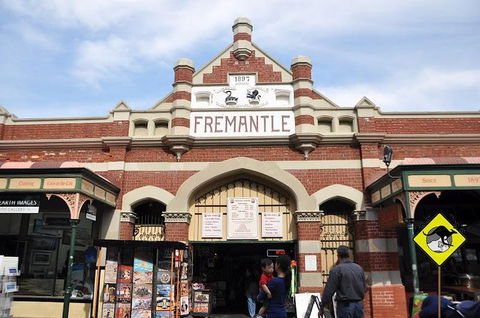 Full-Day Penguin Island & Fremantle Town - Hobart Tourism 1