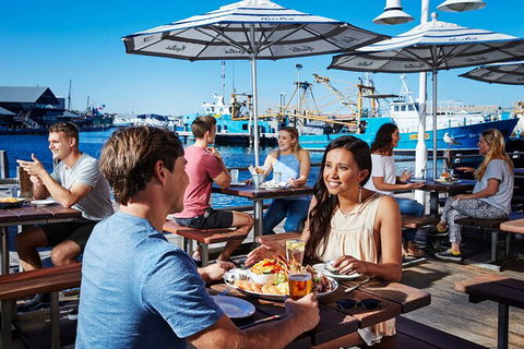 Full-Day Penguin Island & Fremantle Town - Hobart Tourism 7