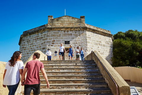 Full-Day Penguin Island & Fremantle Town - Hobart Tourism 4