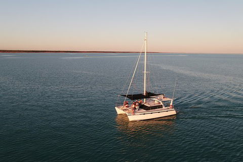 Snubfin Dolphin Eco Cruise From Broome - Hobart Tourism 12