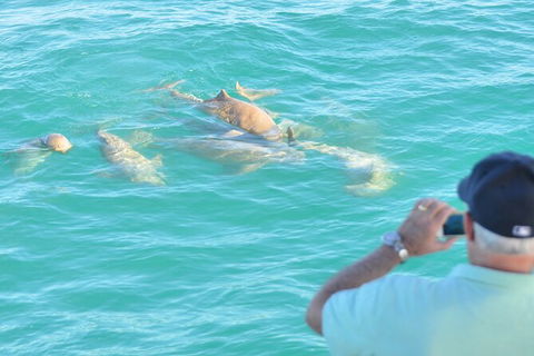 Snubfin Dolphin Eco Cruise From Broome - Hobart Tourism 3