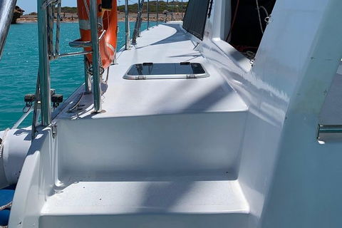Snubfin Dolphin Eco Cruise From Broome - Hobart Tourism 13