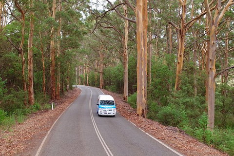 Taste Of The Great Southern - Tourism TAS 1