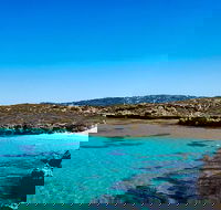 Rottnest Island Roundtrip Fast Ferry from Hillarys Boat Harbour - Hobart Tourism