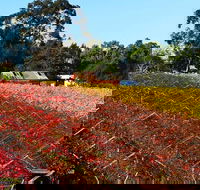 Swan Valley Wine Time Private Day Tour - Hobart Tourism