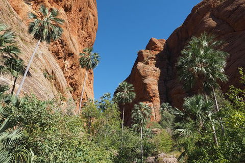13-Day Kimberley Walking Tour Including Spectacular Gorges The Gibb River Road And The Bungle Bungles - Hobart Tourism 6