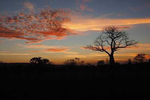 13-Day Kimberley Walking Tour Including Spectacular Gorges The Gibb River Road And The Bungle Bungles - Hobart Tourism 4