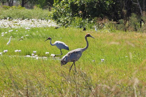 13-Day Kimberley Walking Tour Including Spectacular Gorges The Gibb River Road And The Bungle Bungles - Hobart Tourism 8