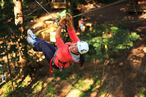 Trees Adventure Lane Poole Park - Treetop & Zipline Experience - Hobart Tourism 0