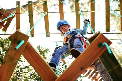 Trees Adventure Lane Poole Park - Treetop & Zipline Experience - Hobart Tourism 1