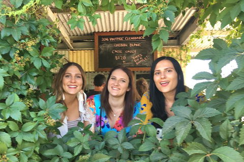 Perth River Cruise And Vineyard Experience: Best Of Both Worlds - Tourism TAS 1