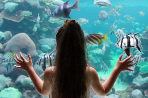 AQWA The Aquarium Of Western Australia: General Admission - Tourism TAS 1