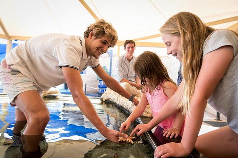 AQWA The Aquarium Of Western Australia: General Admission - Tourism TAS 5