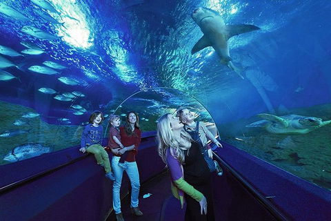 AQWA The Aquarium Of Western Australia: General Admission - Tourism TAS 14
