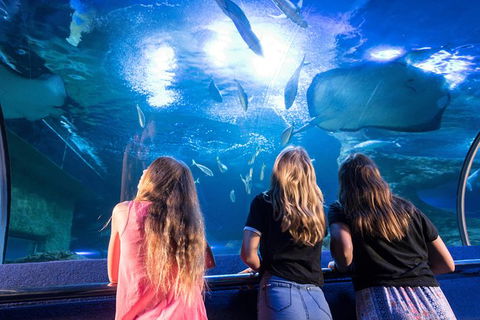 AQWA The Aquarium Of Western Australia: General Admission - Tourism TAS 7