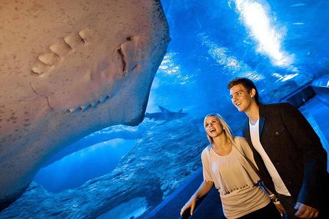 AQWA The Aquarium Of Western Australia: General Admission - Tourism TAS 6