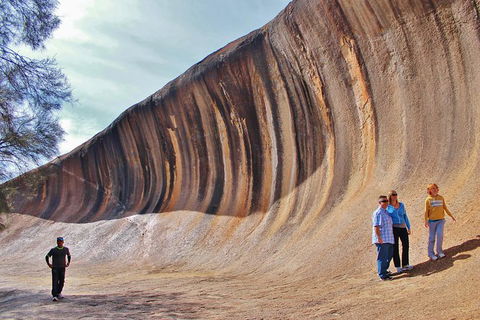 Wave Rock & Rottnest Island - Air & Ground Tour - Hobart Tourism 1