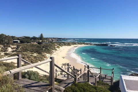 Wave Rock & Rottnest Island - Air & Ground Tour - Hobart Tourism 4
