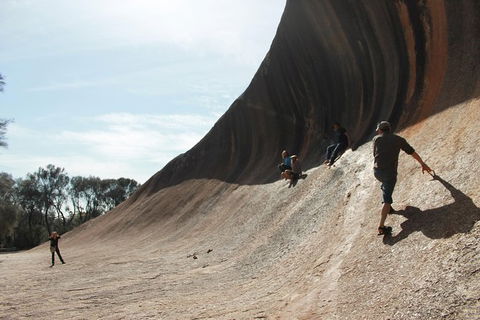 Wave Rock And Pinnacles Air & Ground Tour - Hobart Tourism 7