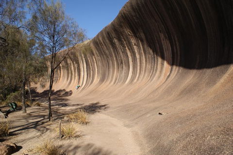 Wave Rock And Pinnacles Air & Ground Tour - Hobart Tourism 8