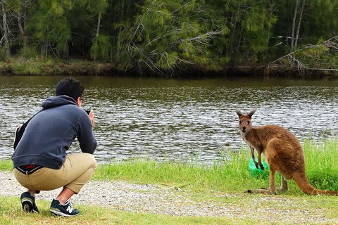 Reflections On The Swan (Private) Day Tour - Tourism TAS 15